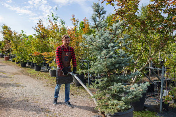 Best Tree Preservation Services  in Le Roy, IL